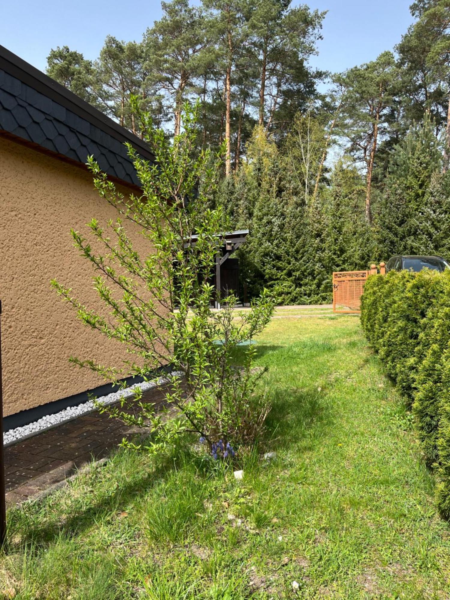 Ferienhaus Fjola Schenkendobern Екстериор снимка