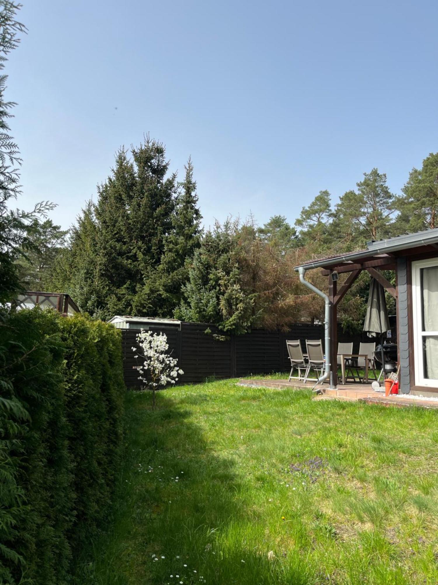 Ferienhaus Fjola Schenkendobern Екстериор снимка