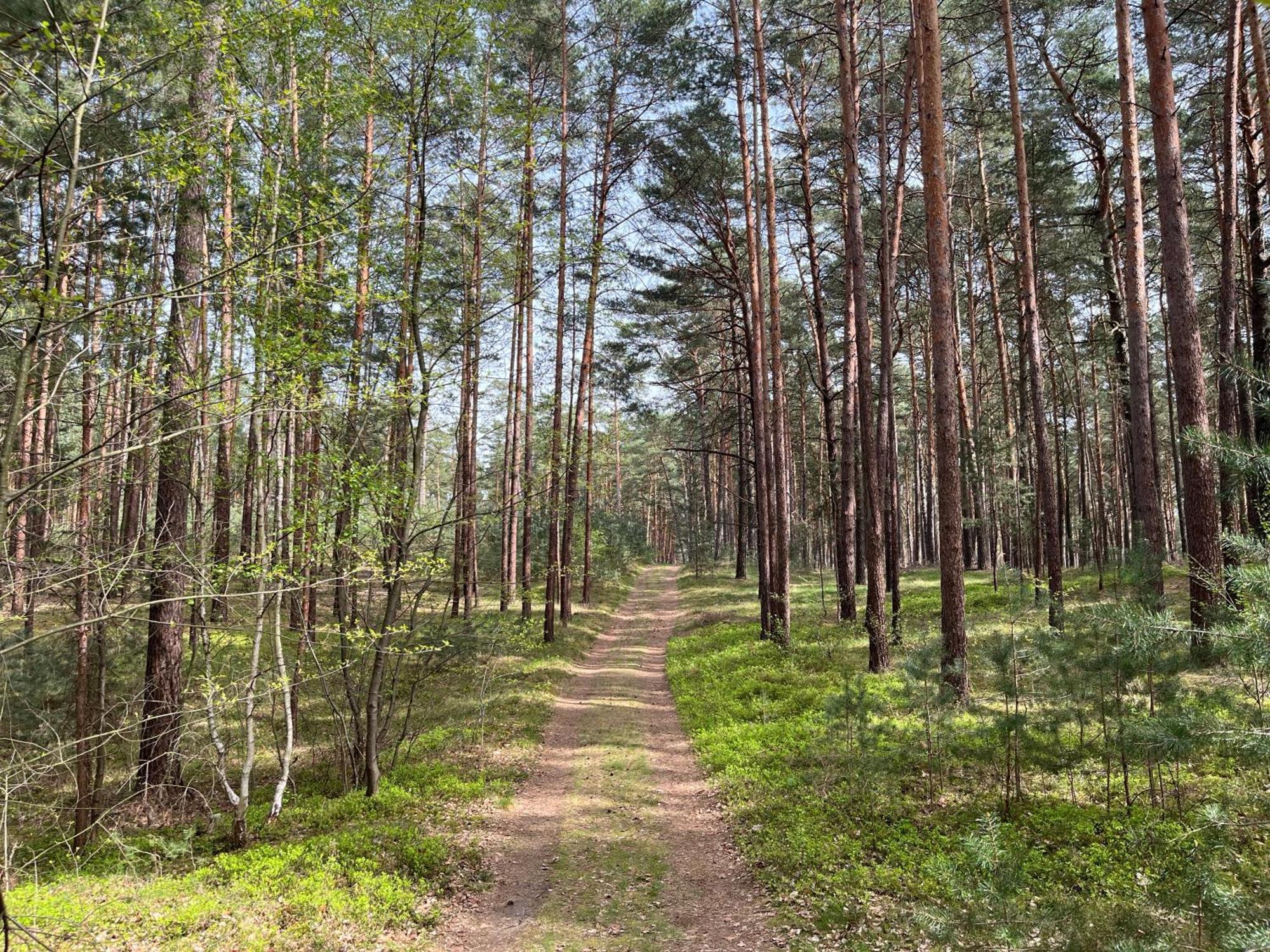 Ferienhaus Fjola Schenkendobern Екстериор снимка