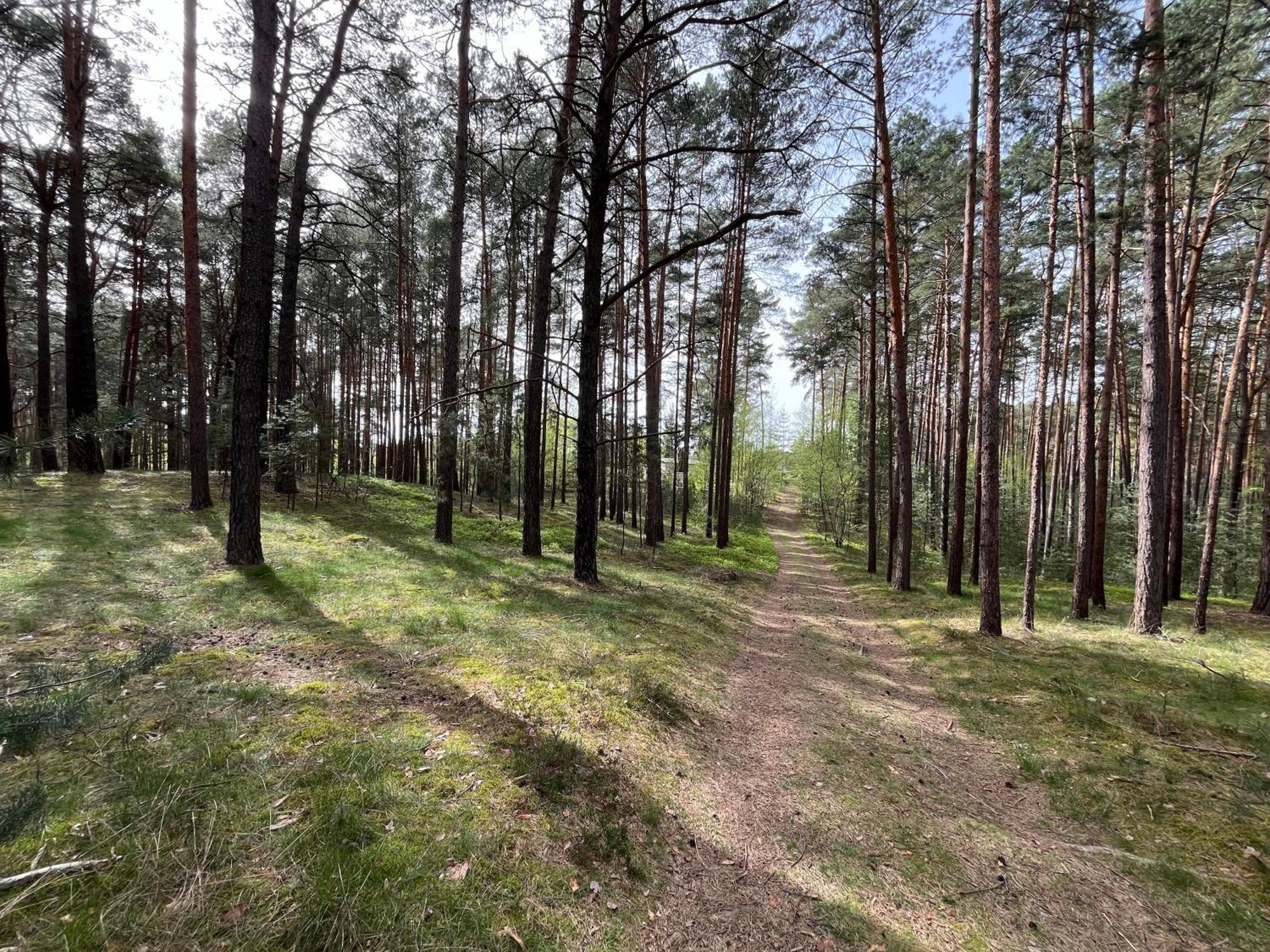 Ferienhaus Fjola Schenkendobern Екстериор снимка