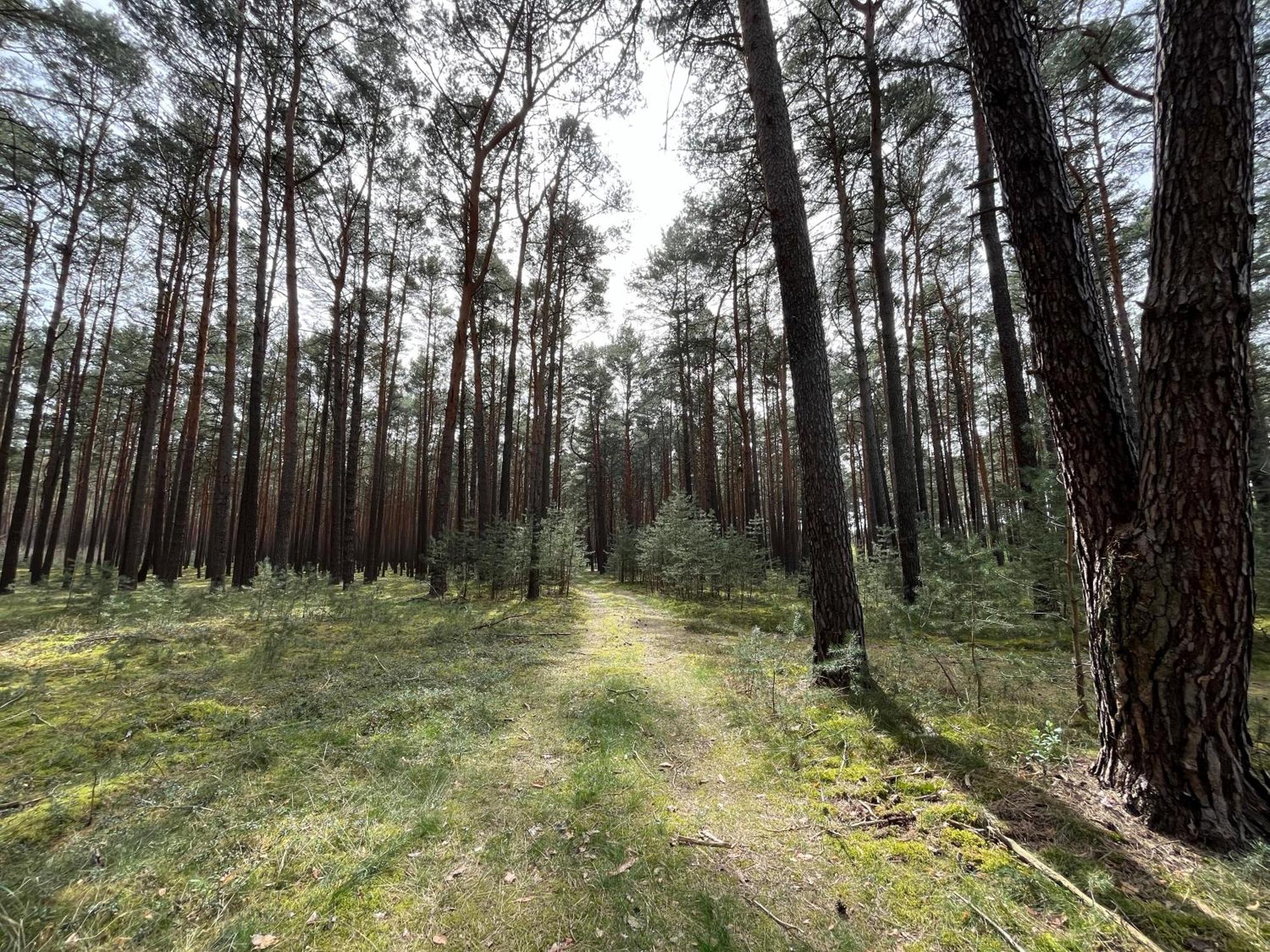 Ferienhaus Fjola Schenkendobern Екстериор снимка